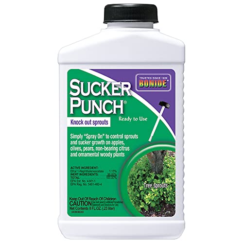 BONIDE PRODUCTS BND276 Ready to Use Punch Stop Suckers Sprouting from Roots and Pruning Cuts, 8 oz, Pack 1