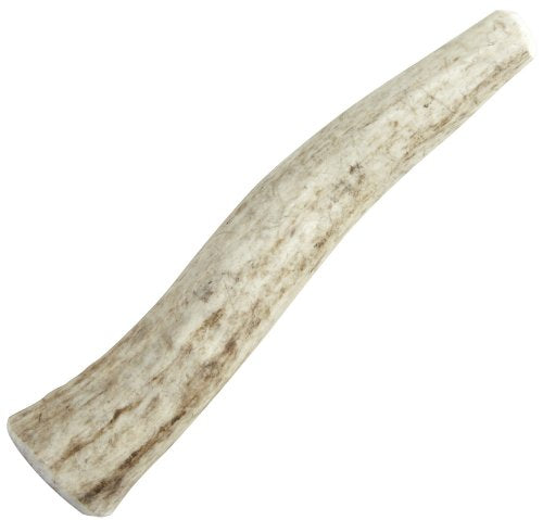 Happy Dog of Cape Cod Whole Elk Antler – X-Small