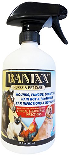 Banixx Horse & Pet Care – 16 oz