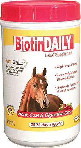 Durvet Biotin Daily Hoof Care for Horses – 2.5 lb