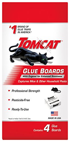 Tomcat Multi-Pest Glue Board with Eugenol