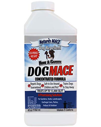 Nature’s MACE Dog Repellent 40oz Concentrate / Treats 15,000 Sq. Ft. / Keep Dogs Out of Your Lawn and Garden / Train Your Dogs to Stay Out of Bushes / Safe to use Around Children & Plants