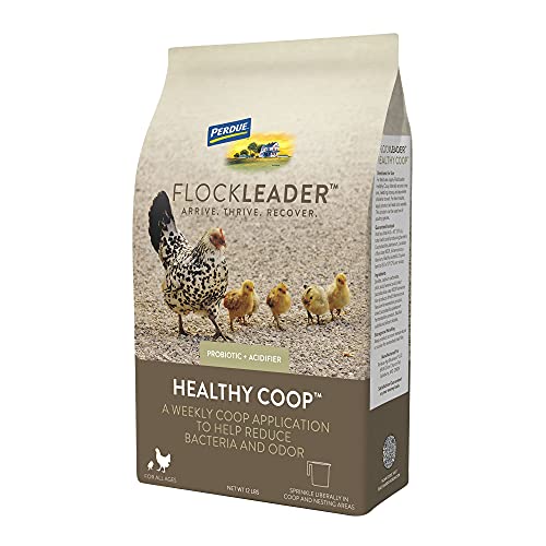 FlockLeader HealthyCoop Probiotic & Acidifier – 12 lb