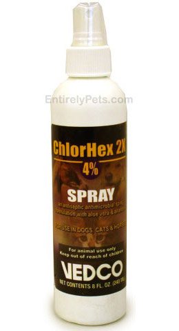 ChlorHex 2X 4% Spray for Dogs, Cats & Horses