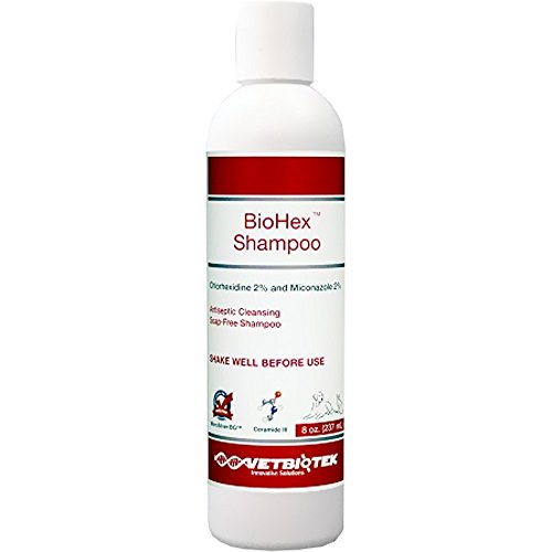 VetBioTek BioHex Chlorhexidine and MicroSilver Shampoo for Skin Infections in Dogs, Cats, and Horses (8 oz)