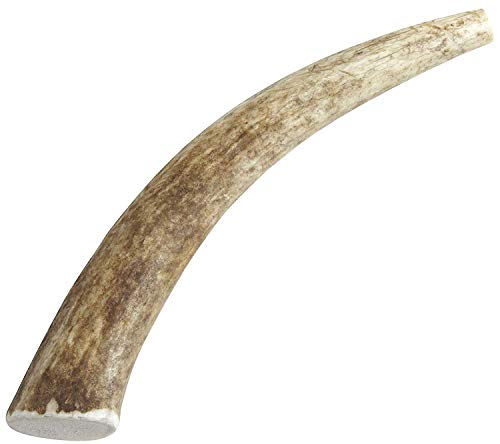Happy Dog of Cape Cod Whole Elk Antler – Medium