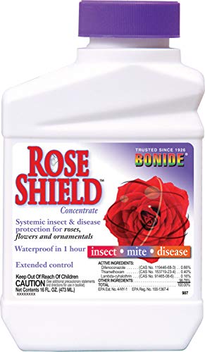 Bonide (BND987) - Rose Shield Insect Control Concentrate, Insecticide (16 oz.)