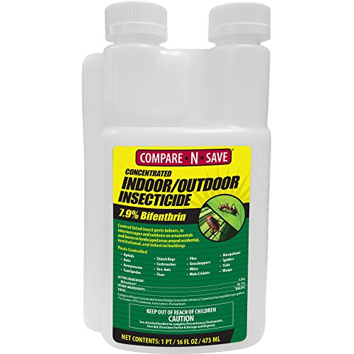 Compare-N-Save Indoor & Outdoor Insect Control Concentrate – 16 oz