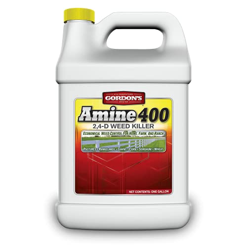 PBI-Gordon Amine 400 2,4-D Weed Killer – 1 Gallon