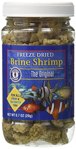 San Francisco Bay Brand Freeze Dried Brine Shrimp – 20 g