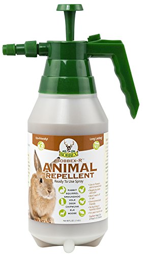 Bobbex Animal Repellent Ready-to-Use E-Z Pump Outdoor Rabbit, Squirrel, and Chipmunk Repeller Spray (48 oz.) 4V-LCOP-C4OP