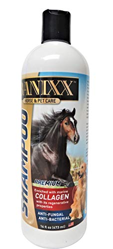 Banixx Medicated Shampoo