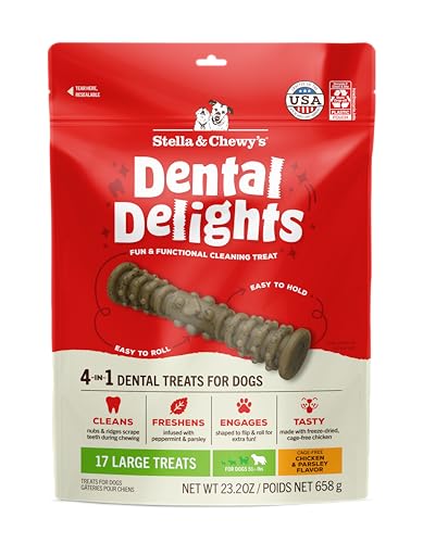 Stella & Chewy's Dental Delights with Freeze-Dried Chicken - Large Bag - Large Treat for Dogs