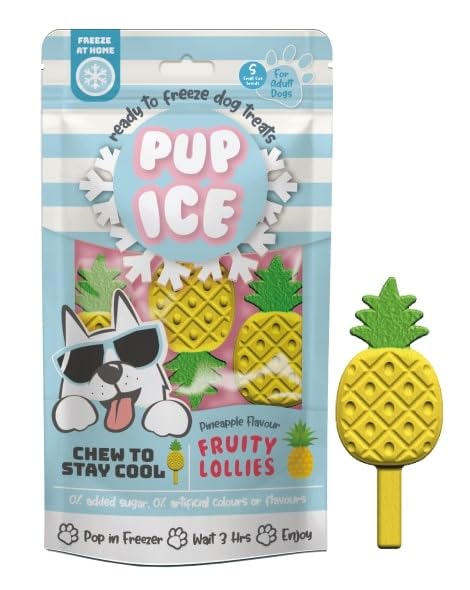 Ethical Pet Fruity Lollies Pineapple or Watermelon Frozen Dog Treat