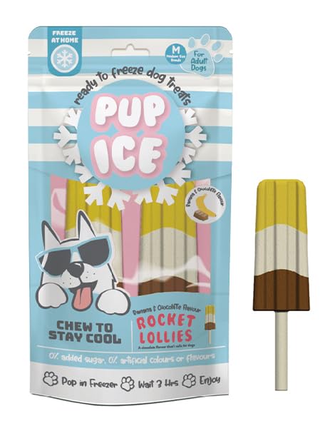 Ethical Pet Rocket Lollies Banana & Chocolate Flavor Frozen Dog Treat