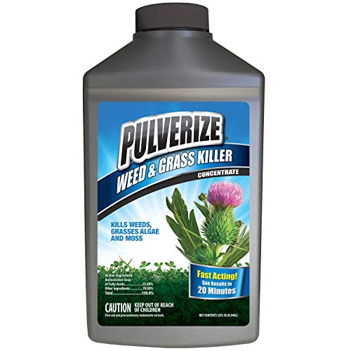 Pulverize 100534811 Messina Weed & Grass Killer, Non-Staining Grass and Crabgrass Killer-32 Ounce, White