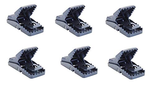 Bell Labs Trapper Mini-Rex Mouse Snap Traps – 24 Pack