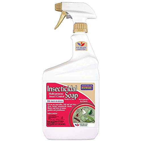 Bonide Products INC 912102 652 Ready-to-Use Insect Soap, Quart, 1