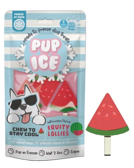 Fruity Lollies Watermelon Flavor