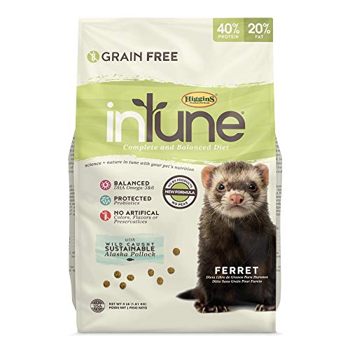 Higgins Pet Food Intune Ferret 4Lb