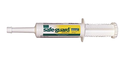 Merck Safe-Guard Dewormer Paste for Horses – 92 g