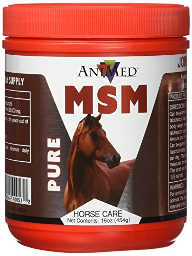AniMed Pure MSM Supplement for Horses – 1 lb