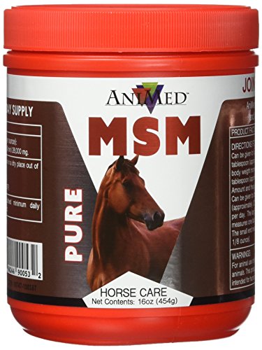 AniMed Pure MSM Supplement for Horses, 1-Pound