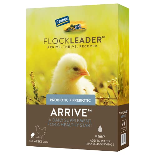 FlockLeader Arrive, Prebiotic Probiotic Supplement for Young Chickens, 0-8 Weeks, 8 OZ