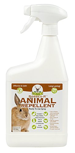 Bobbex Rabbit, Squirrel & Chipmunk Repellent Ready to Use – 32 oz