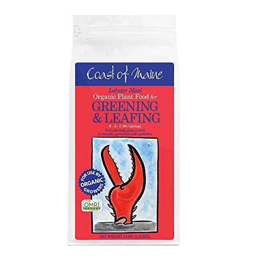 Coast of Maine Indoor Outdoor OMRI Listed Lobster Meal Organic Fertilizer Blend Mix for Container Gardens, Vegetables, and Flower Pots, 4 Pound Bag