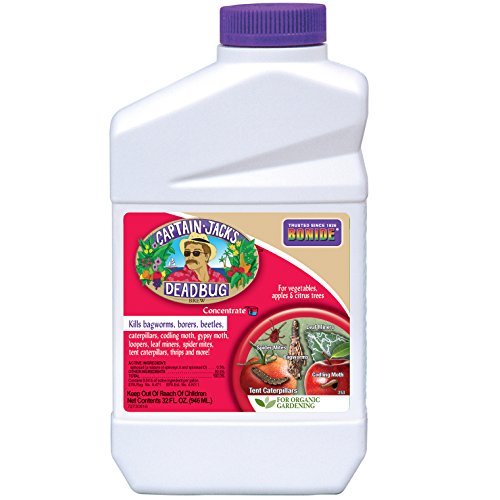 Bonide 704725 Captain Jack's Dead Bug Brew Insect Spray Concentrate, 1-Quart