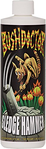 FoxFarm Fertilizer – 1 lb