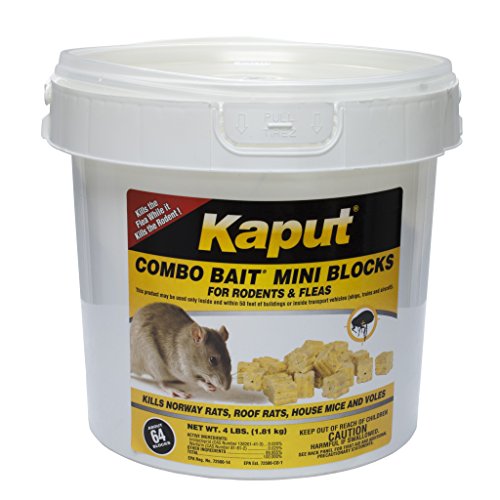 Kaput Combo Bait Mini Blocks – 4 lb Pail