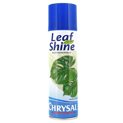 Chrysal Leafshine Plant Shine Aerosol – 6 oz