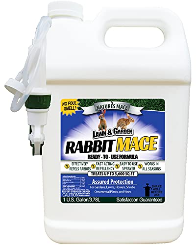 Nature's Mace Rabbit Repellent 1 Gal Spray/Covers 5,600 Sq. Ft. / Rabbit Repellent and Deterrent/Keep Rabbits Out of Your Lawn and Garden/Safe to use Around Children & Plants