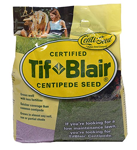 TifBlair Centipede Grass Seed - Available in 1 lb. and 5 lb. Bags