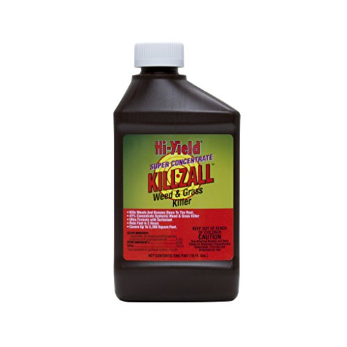 Voluntary Purchasing Group Fertilome 33691 Killzall Weed and Grass Killer, 16-Ounce Super Concentrate