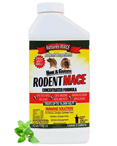 Nature’s MACE Rodent Repellent 40oz Concentrate / Covers 16,800 Sq. Ft. / Repel Mice & Rats / keep mice, rats & rodents out of home, garage, attic, and crawl space / Safe to use around children & pets