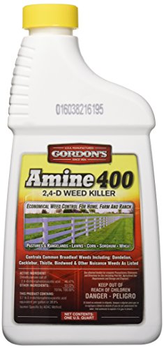 PBI-Gordon Amine 2,4-D Weed Killer – 1 Quart
