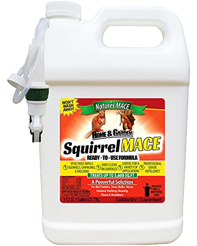 Nature's Mace Squirrel Repellent 1 Gal Spray/Covers 87,000 Sq. Ft./Keep Squirrels & Chipmunks from Destroying Trees, planters, flowerbeds, and Bird feeders/Safe to use Around Children & Plants.