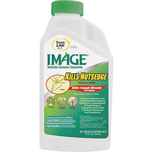 Image Kills Nutsedge Concentrate – 24 oz