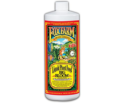 FoxFarm Big Bloom Liquid Concentrate – 1 Quart