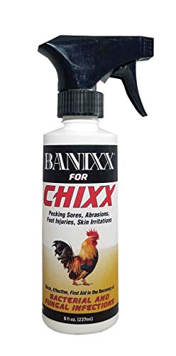 Banixx for Pecking Sores, Bumble Foot, Fowl Pox, Raw Vent Area Infection, Chicken Leg/Foot Injuries