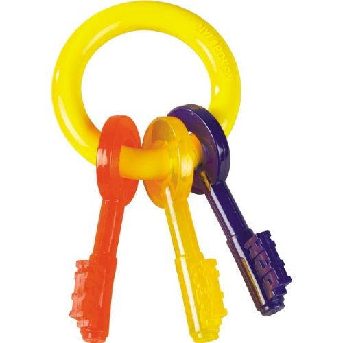 Nylabone Just for Puppies Key Ring Bone – Medium