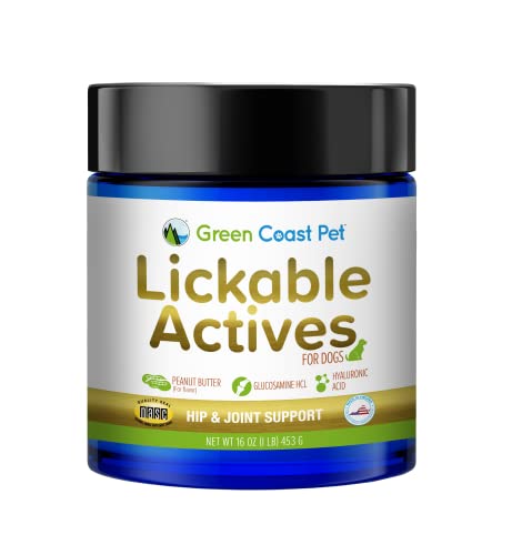 Green Coast Pet Lickable Actives (Hip/Joint & Discomfort Support) Supplement for Dogs, 16 oz