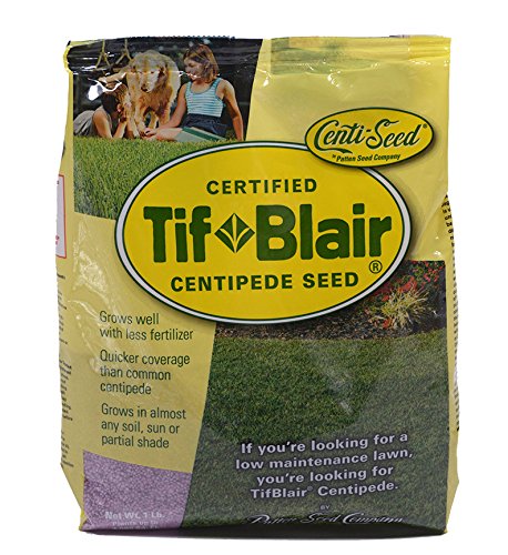 TifBlair Centipede Grass Seed 1 Pound