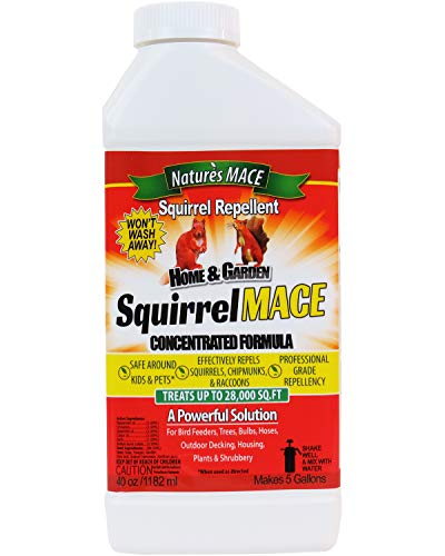 Nature's Mace Squirrel Repellent 40oz Concentrate/Covers 28,000 Sq Ft/Keep Squirrels & Chipmunks from Destroying Trees, Planters and Bird Feeders/Safe to use Around Children & Plants