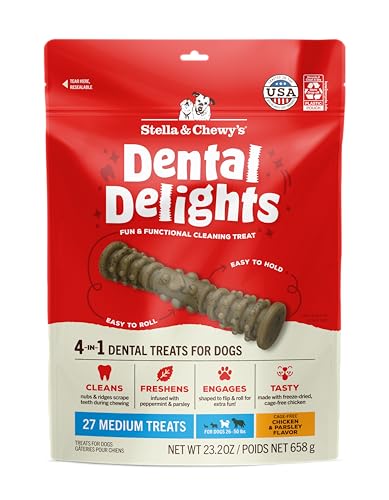 Stella & Chewy's Dental Delights with Freeze-Dried Chicken - Large Bag - Medium Treat for Dogs