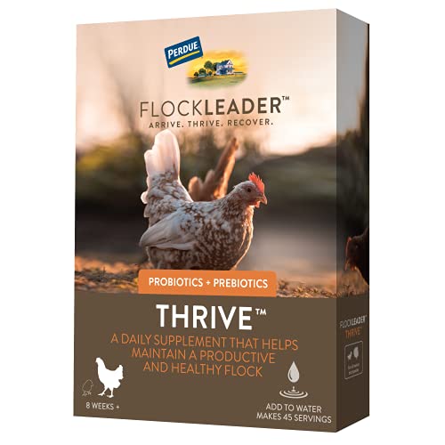 FlockLeader Thrive Prebiotic & Probiotic for Chickens – 8 oz