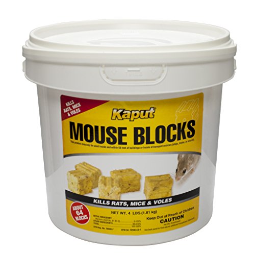 Kaput Mouse Blocks - 4lb. Bucket 71305